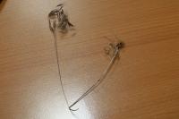 Anisantha tectorum