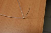 Anisantha tectorum