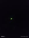 Lampyris noctiluca