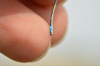 Coenagrion scitulum