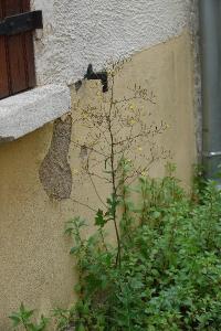 Pendrille
