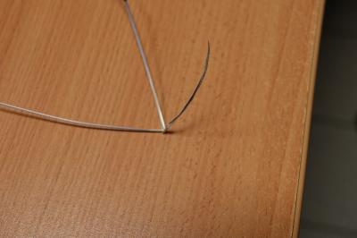 Brome des toits
